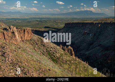 Das untere Ende des Medio Dia Canyons in den Jemez Mountains, vier Jahre nach dem verheerenden Las Conchas-Waldbrand. Stockfoto