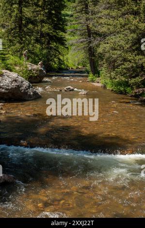 Zwei Leute fischen auf dem Pecos River in den Sangre de Cristo Mountains bei Cowles, New Mexico Stockfoto