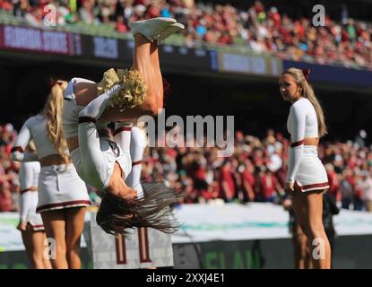 Dublin, Irland. August 2024. Aviva Stadium Florida State University Cheerleader, der einen Somersault in der Luft macht. Georgia Tech gegen Florida State (Hugh de Paor/SPP) Credit: SPP Sport Press Photo. /Alamy Live News Stockfoto