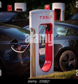 TESLA Plug-in-Elektrofahrzeuge laden an den 8 Supercharger vor dem L.L. Bean Flagship Store in Freeport, Maine, USA. Stockfoto