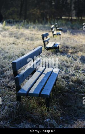 Bänke und Gras im Park sind mit Raureif bedeckt und stehen in vertikaler Ausrichtung am Herbstmorgen Stockfoto