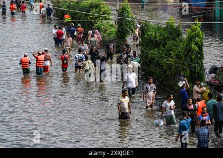 Dhaka, Bangladesch. August 2024. Die Leute waten durch das Hochwasser im Bezirk Feni in der Division Chittagong. Hochwassergefährdetes Gebiet im Bezirk Feni in der Division Chittagong, Bangladesch. (Foto: Zabed Hasnain Chowdhury/SOPA Images/SIPA USA) Credit: SIPA USA/Alamy Live News Stockfoto