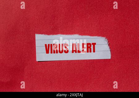 Virenwarnmeldung auf gerissenem Papierstück mit rotem Hintergrund geschrieben. Konzeptionelles Virus-Warnsymbol. Kopierbereich. Stockfoto