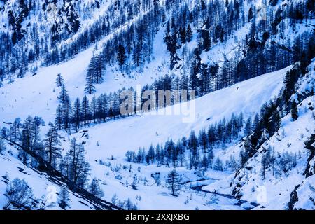 Guiltal, Alpen, Queyras Naturpark, Frankreich, Europa Stockfoto