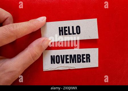 Hallo november Nachricht auf Papierstücken mit rotem Hintergrund. Konzeptionelles Hallo november-Symbol. Kopierbereich. Stockfoto