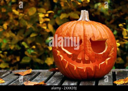 Geschnitzter Halloween-Kürbis auf einer Bank vor herbstlichem Hintergrund im Park, Jack-o-Laterne vor gelben Blättern im Herbst Stockfoto