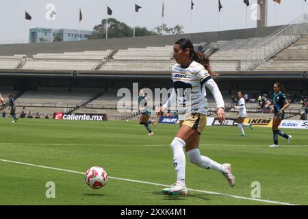 Mexiko-Stadt, Mexiko. August 2024. Yaneisy Rodríguez #19 von Pumas UNAM treibt den Ball während des 7. Runde Spiels zwischen Pumas UNAM und Club Puebla als Teil der Torneo Apertura 2024 Frauen Liga MX am Estadio Olímpico Universitario nach vorne. Endpunktzahl Pumas 2:1 Puebla. Am 23. August 2024 in Mexiko-Stadt. (Foto: Jose Luis Torales/Eyepix Group/SIPA USA) Credit: SIPA USA/Alamy Live News Stockfoto