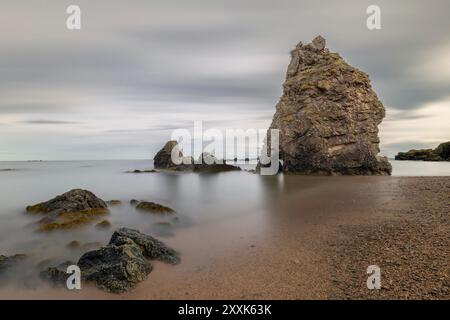 In der Nähe von Whinnyfold, Cruden Bay, Schottland, zeigt die zerklüftete Küste von Aberdeenshire herrliche Seestapel nördlich von Aberdeen. Stockfoto