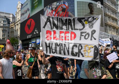 Demonstranten auf dem National Animal Rights March. Piccadilly Circus, London, Großbritannien. August 2024 Stockfoto