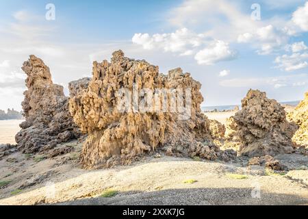 Alte Steinschornsteine Mineralgesteinsformationen auf dem getrockneten Boden des Salzsees Abbe, Dikhil Region, Dschibuti Stockfoto