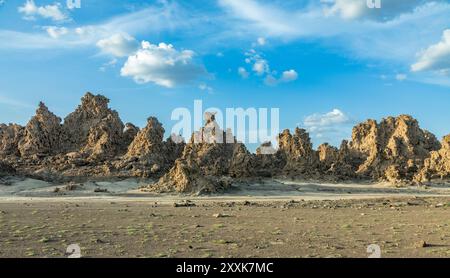 Alte Steinschornsteine Mineralgesteinsformationen auf dem getrockneten Boden des Salzsees Abbe, Dikhil Region, Dschibuti Stockfoto