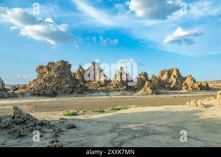 Alte Steinschornsteine Mineralgesteinsformationen auf dem getrockneten Boden des Salzsees Abbe, Dikhil Region, Dschibuti Stockfoto