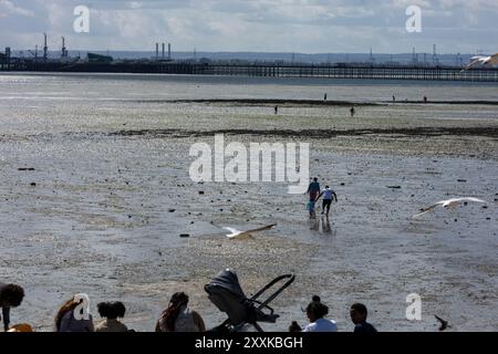 Southend-on-Sea Essex 25. August 2024 Wetterbilder: Besucher genießen die Küste von Southend auf See an einem windigen und kalten Feiertag Sonntag Credit: Ian Davidson/Alamy Live News Stockfoto