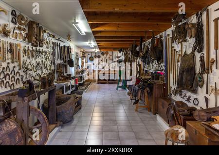 Skogar, Island, 16.05.2022. Skogar Museum, Ausstellungsraum mit alten Haushalten, Bauernhof- und Pferdeausrüstung, Sätteln, Trensen und Hufeisen. Stockfoto