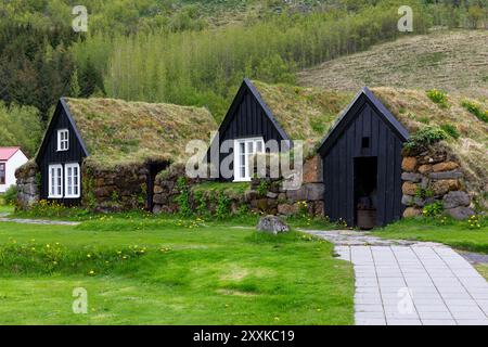 Traditionelles Rasenhaus Dorf im Skogar Open Air Museum, Wohngebäude mit schwarzer Holzfassade mit Dächern bedeckt mit Rasen und Moos, Island. Stockfoto