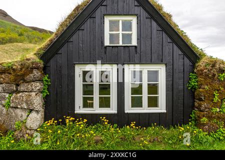 Traditionelles Rasenhaus im Skogar Open Air Museum, Wohngebäude mit schwarzer Holzfassade mit Dach mit Rasen und Moos, Island. Stockfoto