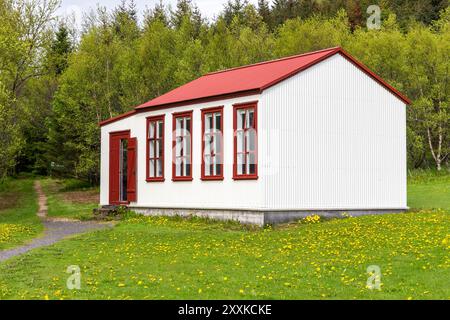 Traditionelles Haus Dorf im Skogar Open Air Museum, Holzfassade isländisches Wohngebäude mit rotem Dach. Stockfoto