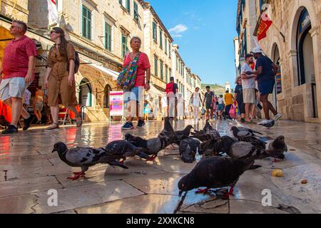 Das Überfüllte Dubrovnik, Kroatien Stockfoto