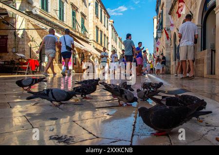 Das Überfüllte Dubrovnik, Kroatien Stockfoto