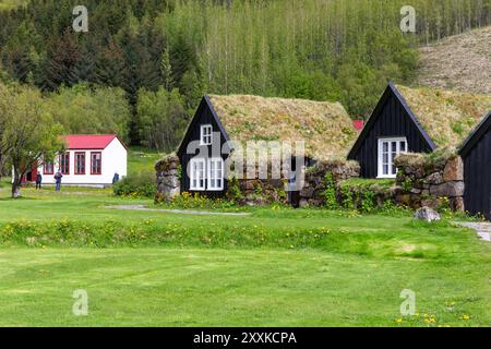 Traditionelles Rasenhaus Dorf im Skogar Open Air Museum, Wohngebäude mit schwarzer Holzfassade mit Dächern bedeckt mit Rasen und Moos, Island. Stockfoto