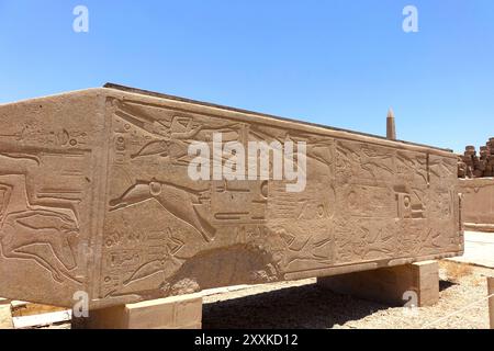 Antike Hieroglyphen und komplizierte Basreliefs zieren die Steinflächen im Tempelkomplex Karnak und zeigen Ägyptens reiche Geschichte und Kunstfertigkeit in mir Stockfoto