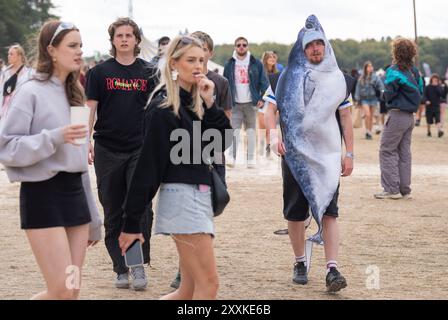 Besucher besuchen das Leeds Festival 2024 im Bramham Park in Leeds. Bilddatum: Sonntag, 25. August 2024. Stockfoto