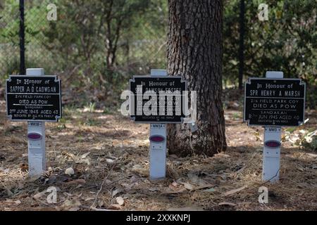 Individuelle Gedenktafeln an gefallene Soldaten im Kings Park und Botanic Garden, Perth, Western Australia Stockfoto