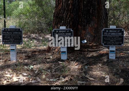 Individuelle Gedenktafeln an gefallene Soldaten im Kings Park und Botanic Garden, Perth, Western Australia Stockfoto