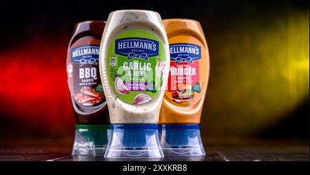 POZNAN, POL - 7. August 2024: Hellmann's Products, amerikanische Markennamen des britischen multinationalen Unternehmens Unilever Stockfoto