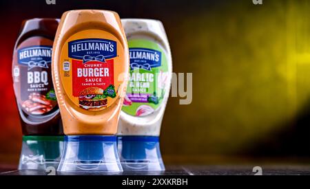 POZNAN, POL - 7. August 2024: Hellmann's Products, amerikanische Markennamen des britischen multinationalen Unternehmens Unilever Stockfoto
