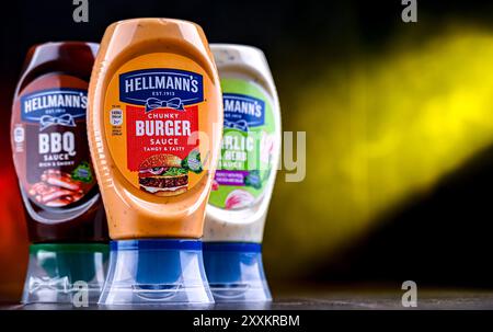 POZNAN, POL - 7. August 2024: Hellmann's Products, amerikanische Markennamen des britischen multinationalen Unternehmens Unilever Stockfoto