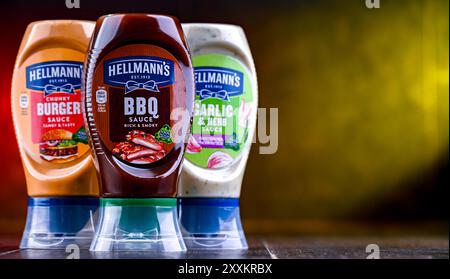 POZNAN, POL - 7. August 2024: Hellmann's Products, amerikanische Markennamen des britischen multinationalen Unternehmens Unilever Stockfoto
