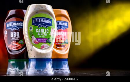 POZNAN, POL - 7. August 2024: Hellmann's Products, amerikanische Markennamen des britischen multinationalen Unternehmens Unilever Stockfoto