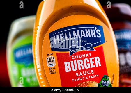 POZNAN, POL - 7. August 2024: Hellmann's Products, amerikanische Markennamen des britischen multinationalen Unternehmens Unilever Stockfoto