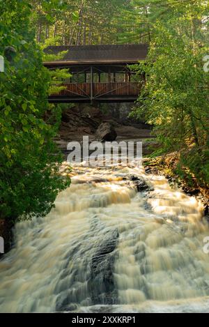 Wasserfall der Lower Falls an einem schönen Sommermorgen im Amnicon State Park in Wisconsin, USA. Stockfoto