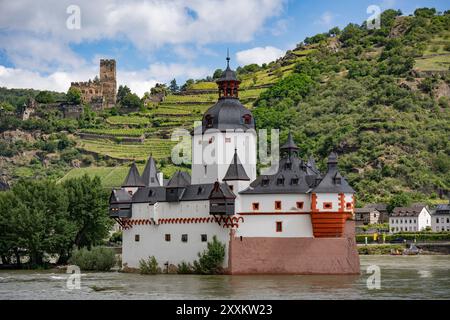 Kaub, Deutschland – 11. Juni 2024: Historisches weißes Schloss Pfalzgrafenstein auf einer Rheininsel mit Schloss Gutenfels auf einem Hügel, Stockfoto