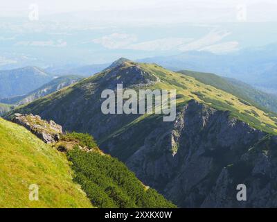 Ein atemberaubender Blick auf einen üppigen, grünen Bergrücken, der die majestätische Landschaft mit zerklüftetem Gelände und lebendiger Vegetation zeigt, die an Natur erinnert Stockfoto