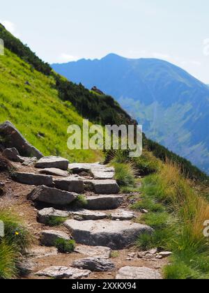 Ein schmaler Steinweg führt Abenteurer auf einen üppigen, grünen Berghang und bietet eine malerische Reise durch unberührte Natur und ruhige Landschaften Stockfoto