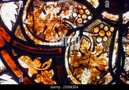 Buntglas aus dem Zisterzienserkloster Kloster Altenberg (Blattmotive, Detail), Köln. Nordrhein-Westfalen, Deutschland, Europa Stockfoto