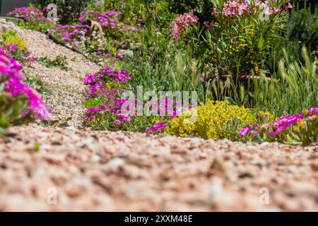 Blick aus dem niedrigen Winkel auf einer Schotterstraße mit Blumen, die in den Wald führen. Schwindende Perspektive. Selektiver Fokus. Kopierbereich. Stockfoto