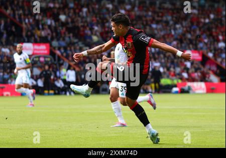 Vitality Stadium, Boscombe, Dorset, Großbritannien. August 2024. Premier League Football, AFC Bournemouth gegen Newcastle United; Evanilson of Bournemouth schießt beim Tor Credit: Action Plus Sports/Alamy Live News Stockfoto