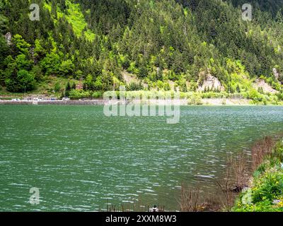Oberfläche des Usungol-Sees in grün bewachsenen Bergen im Bezirk Caykara der Provinz Trabzon, Türkei am Sommertag Stockfoto