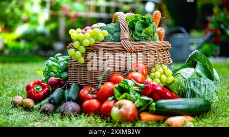 Korb mit Gemüse und Obst im Garten. Ausgewogene Ernährung Stockfoto