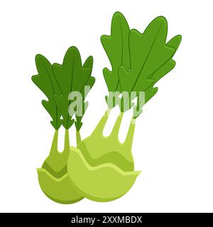 Frische Kohlrabi-Vektorkunst mit grünen Blättern, isoliert auf weißem Hintergrund. Stock Vektor