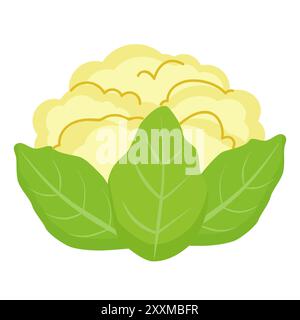 Vektorkunst eines Blumenkohls mit grünen Blättern, detailliert und isoliert. Stock Vektor
