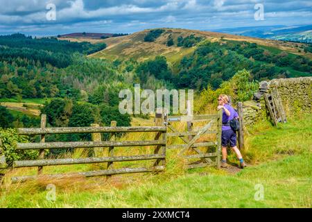 Weibliche Wanderer im Goyt Valley bei Buxton im Peak District National Park, Großbritannien Stockfoto