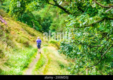 Weibliche Wanderer im Goyt Valley bei Buxton im Peak District National Park, Großbritannien Stockfoto