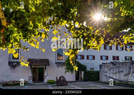 Dornach, Schweiz, Dorneck, Schwarzbubenland, Solothurn, Kapuzinerkloster, Nepomuk-Brücke, Schlachtmonument Stockfoto