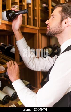 Auswahl des besten Weins. Selbstbewusster männlicher Sommelier, der Wein aus dem Regal wählt Stockfoto