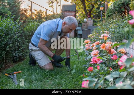 Ein Mann kümmert sich um Blumen und Pflanzen im Garten. Feder. Mann, der im Garten gräbt. Stockfoto